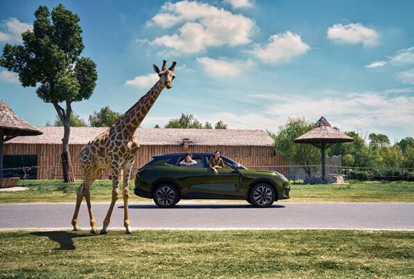 　20万级SUV首选，全新领克08EM-P全维进阶限时15.98万元-21.28万元正式上市